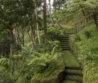 Villa Hartland Estate, Garden Path